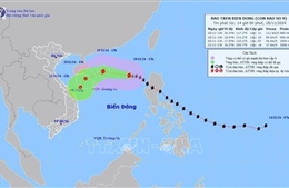 Chủ động ứng phó với bão số 9