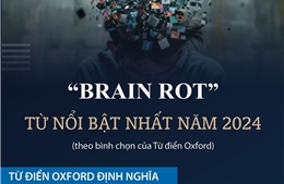 &#39;Brain rot&#39; - Từ nổi bật nhất năm 2024