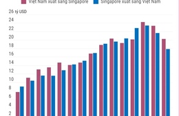 Thương mại song phương Việt Nam - Singapore