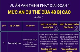 Mức án cụ thể của 48 bị cáo trong vụ án Vạn Thịnh Phát giai đoạn 1