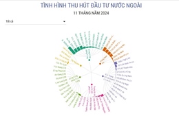 Thu hút đầu tư nước ngoài 11 tháng năm 2024