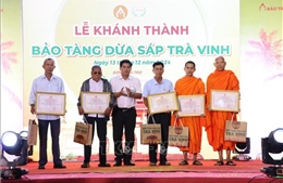 Bảo tàng dừa sáp Trà Vinh: Điểm tham quan ấn tượng thu hút du khách