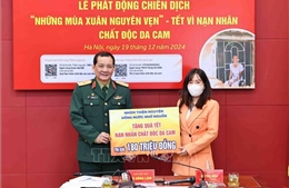 Chương trình &#39;Những mùa xuân nguyên vẹn&#39; gây quỹ ủng hộ nạn nhân chất độc da cam