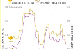 Giá vàng SJC sáng 20/12/2024