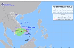 Áp thấp nhiệt đới trên Biển Đông đã mạnh lên thành bão