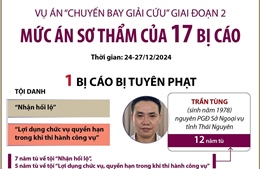 Vụ án &#39;chuyến bay giải cứu&#39; giai đoạn 2: Mức án sơ thẩm của 17 bị cáo