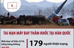 Toàn cảnh vụ tai nạn máy bay tại Hàn Quốc làm 179 người thiệt mạng