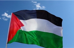 Điện mừng nhân kỷ niệm lần thứ 60 Ngày Cách mạng Palestine