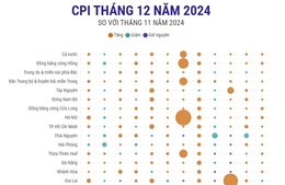 CPI tháng 12/2024 tăng 0,29%