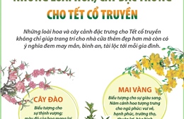 Những loài hoa, cây đặc trưng cho Tết cổ truyền