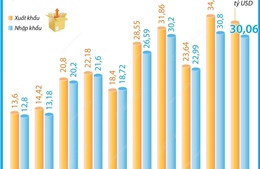 Tháng 1, tổng kim ngạch xuất, nhập khẩu đạt 63,15 tỷ USD