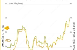 Giá vàng SJC sáng 11/2 tăng vọt, vàng miếng lên 92 triệu đồng/lượng