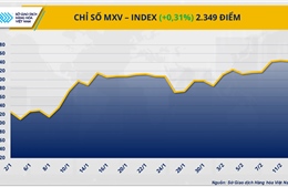 Chỉ số MXV-Index quay lại vùng đỉnh trong vòng 9 tháng