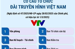 Cơ cấu tổ chức của Đài Truyền hình Việt Nam