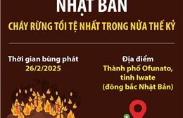 Nhật Bản: Cháy rừng tồi tệ nhất trong nửa thế kỷ