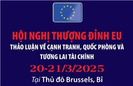 Hội nghị thượng đỉnh EU thảo luận về cạnh tranh, quốc phòng và tương lai tài chính