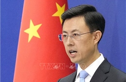 Trung Quốc hoan nghênh mọi nỗ lực thúc đẩy ngừng bắn tại Ukraine