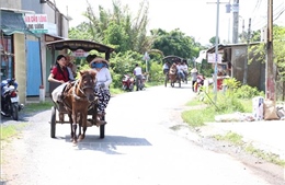 Nhiều hoạt động gắn kết các thành viên trong gia đình dịp nghỉ lễ dài ngày