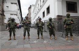 Ecuador để quốc tang các binh sĩ thiệt mạng trong vụ đụng độ gần biên giới Colombia
