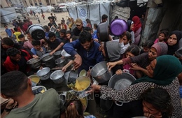 LHQ kêu gọi ngăn chặn hậu quả nhân đạo nghiêm trọng tại Dải Gaza