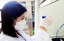 Tạo điều kiện để nữ trí thức tham gia nghiên cứu, phát triển khoa học công nghệ