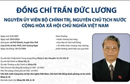 Nguyên Chủ tịch nước Cộng hòa xã hội chủ nghĩa Việt Nam Trần Đức Lương