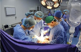 Thực hiện thành công ca lấy đa tạng và ghép thận cho 2 bệnh nhân tại Bệnh viện Đa khoa tỉnh Quảng Ninh