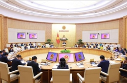 Bảo đảm tiến độ đưa vào hoạt động cấp xã mới từ 1/7/2025, cấp tỉnh trước 15/8/2025