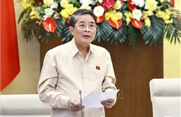 Không áp dụng thuế suất ưu đãi với doanh nghiệp, công ty con để tránh trục lợi chính sách
