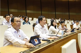 Thông qua Luật Sửa đổi, bổ sung một số điều của Luật Sử dụng năng lượng tiết kiệm và hiệu quả