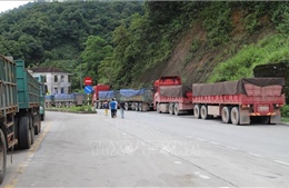 Kiểm tra nội dung TTXVN phản ánh về vận tải hàng hóa qua Cửa khẩu Cầu Treo