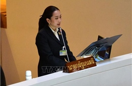 Thái Lan và Pháp nhất trí phối hợp thúc đẩy đàm phán biên giới với Campuchia