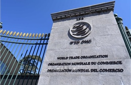 WTO dự báo tăng trưởng thương mại toàn cầu giảm tốc vào cuối năm 2025