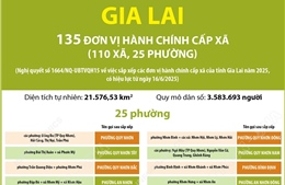 Thông tin chi tiết sắp xếp các đơn vị hành chính cấp xã của tỉnh Gia Lai