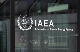 Liên hợp quốc và nhiều nước phản đối việc Iran đình chỉ hợp tác với IAEA