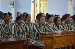 Hướng nghiệp cho phạm nhân sắp chấp hành xong hình phạt tù