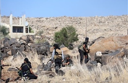 Giao tranh tại Syria tạm lắng