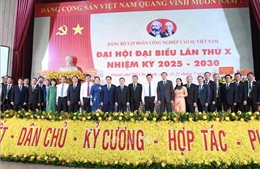 Tập đoàn Công nghiệp cao su Việt Nam tập trung tăng trưởng xanh và bền vững