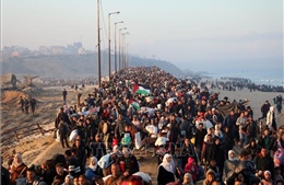 Ai Cập và AL tái khẳng định cam kết về giải pháp công bằng và toàn diện cho vấn đề Palestine