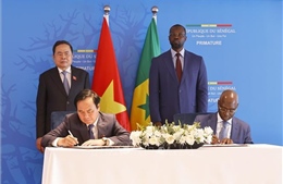 Việt Nam sẵn sàng phối hợp xây dựng chiến lược phát triển nông nghiệp toàn diện với Senegal