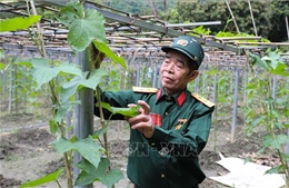Thương binh, bệnh binh vùng cao Điện Biên khắc ghi lời Bác dạy
