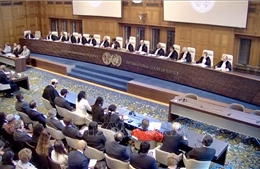 Việt Nam đóng góp tích cực cho tiến trình xin ý kiến tư vấn của ICJ về biến đổi khí hậu