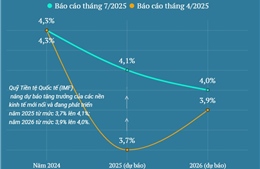 IMF nâng dự báo tăng trưởng của các nền kinh tế mới nổi và đang phát triển năm 2025 