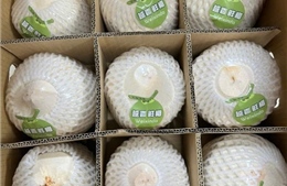 Gần 22 tấn dừa tươi Việt Nam xuất khẩu chính ngạch qua cửa khẩu Bắc Luân II