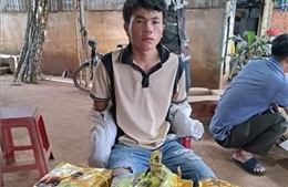 Bắt quả tang đối tượng vận chuyển hơn 3kg ma túy đá tại quán cà phê