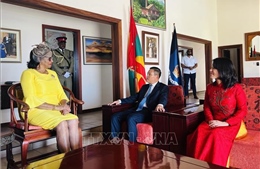 Việt Nam - Grenada tăng cường ủng hộ lẫn nhau trên các diễn đàn đa phương