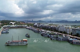 Quảng Ninh hành động mạnh mẽ vì một vịnh Hạ Long an toàn