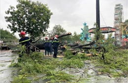 Cà Mau: Cây xanh bật gốc khiến hai người bị thương