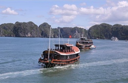 Điểm nhấn thu hút du khách đến Cát Bà