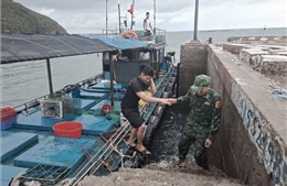 10 thuyền viên được cứu vớt an toàn vùng biển Cô Tô